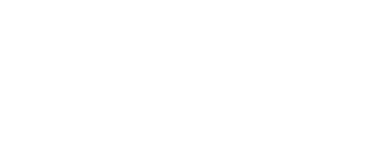 LOGO WHITE_ Side APel